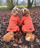 Four Legged Dog Fleece Jumpers Pet Wiz