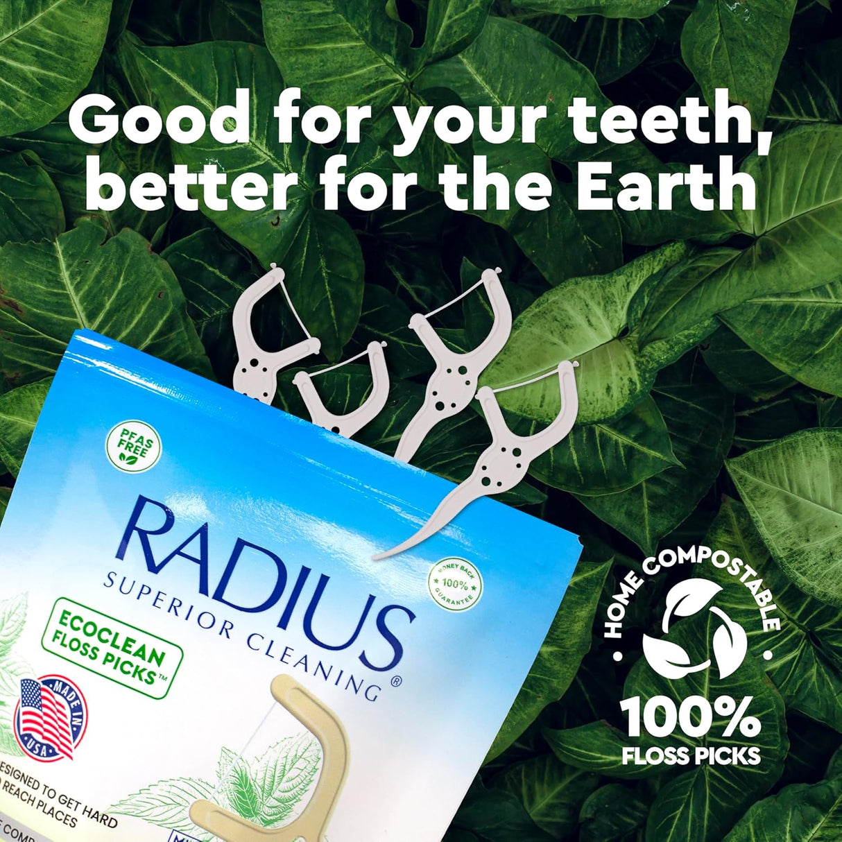 EcoClean Floss Pick Dental Floss RADIUS