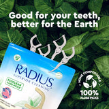 EcoClean Floss Pick Dental Floss RADIUS