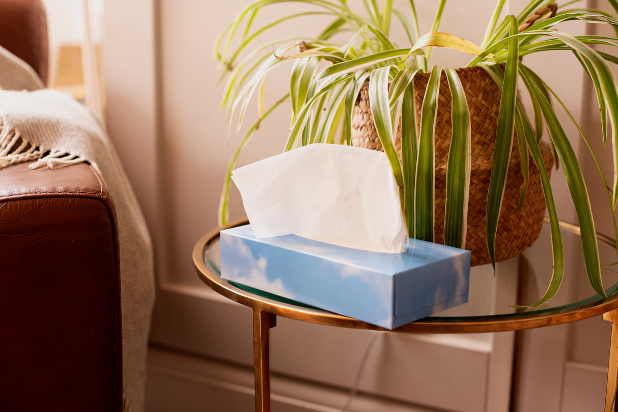 Soft White Facial Tissues, Box of 100 Tissues Ana Wiz   