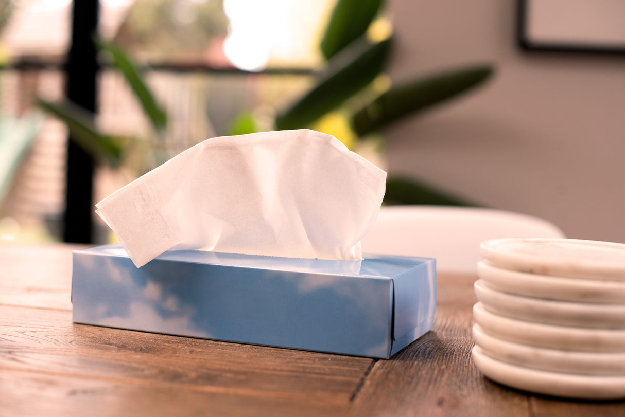 Soft White Facial Tissues, Box of 100 Tissues Ana Wiz   