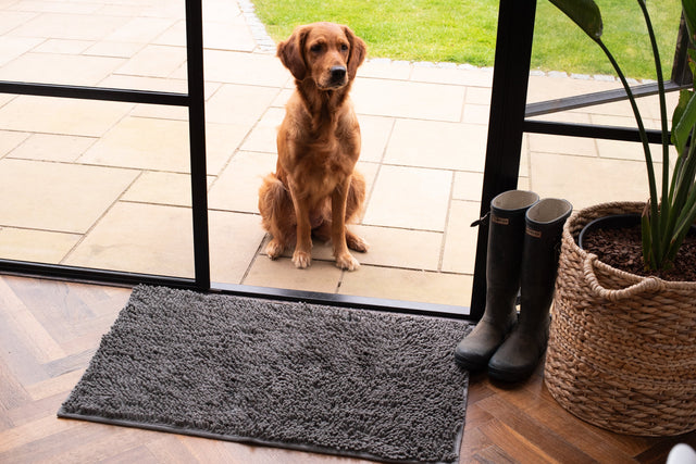 Plush Microfibre Noodle Mat Towels Pet Wiz   