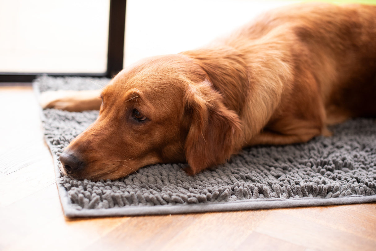 Plush Microfibre Noodle Mat Towels Pet Wiz   