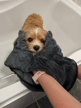 Fast Drying Loop Towel