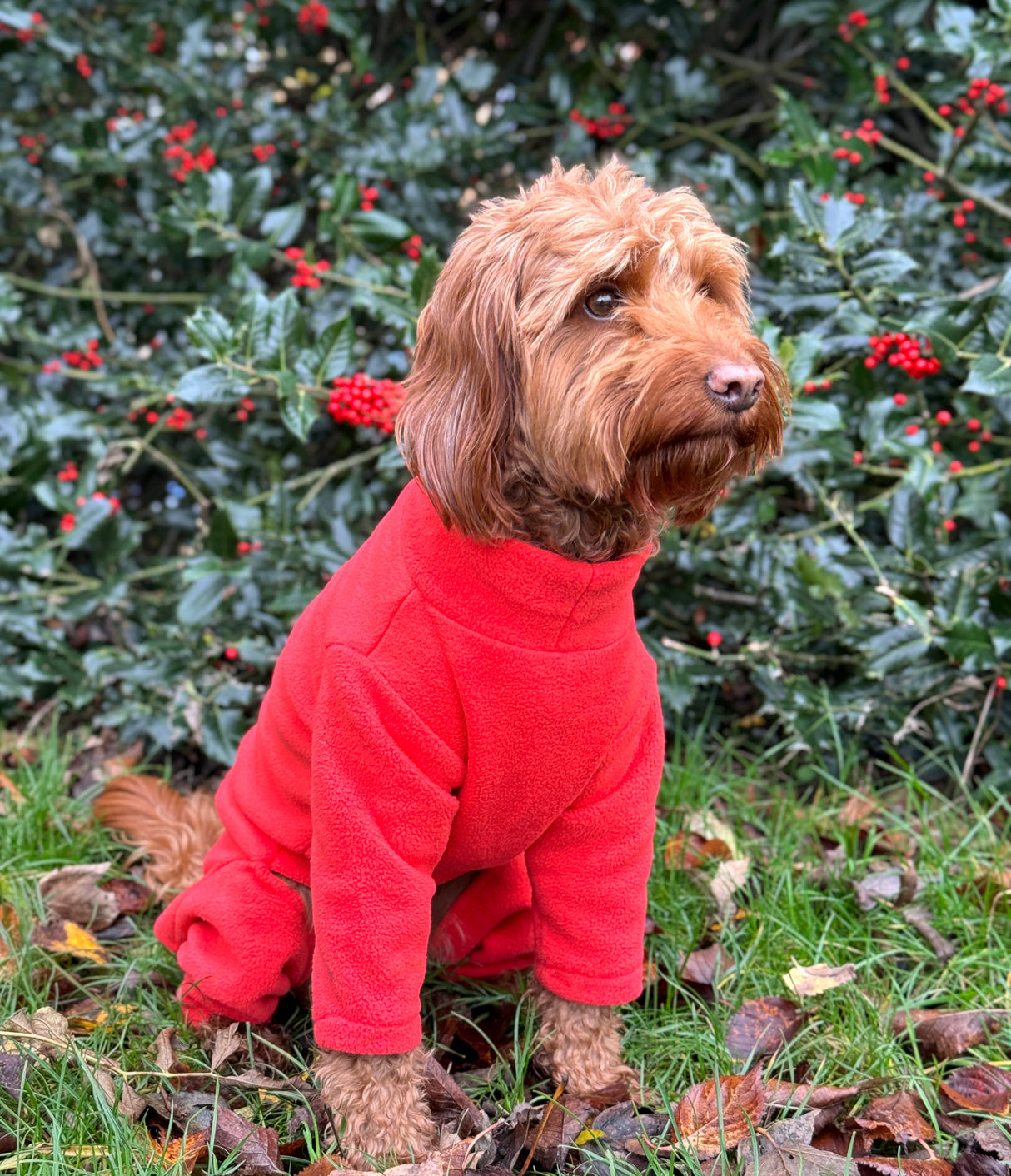 Four Legged Dog Fleece Jumpers Pet Wiz   
