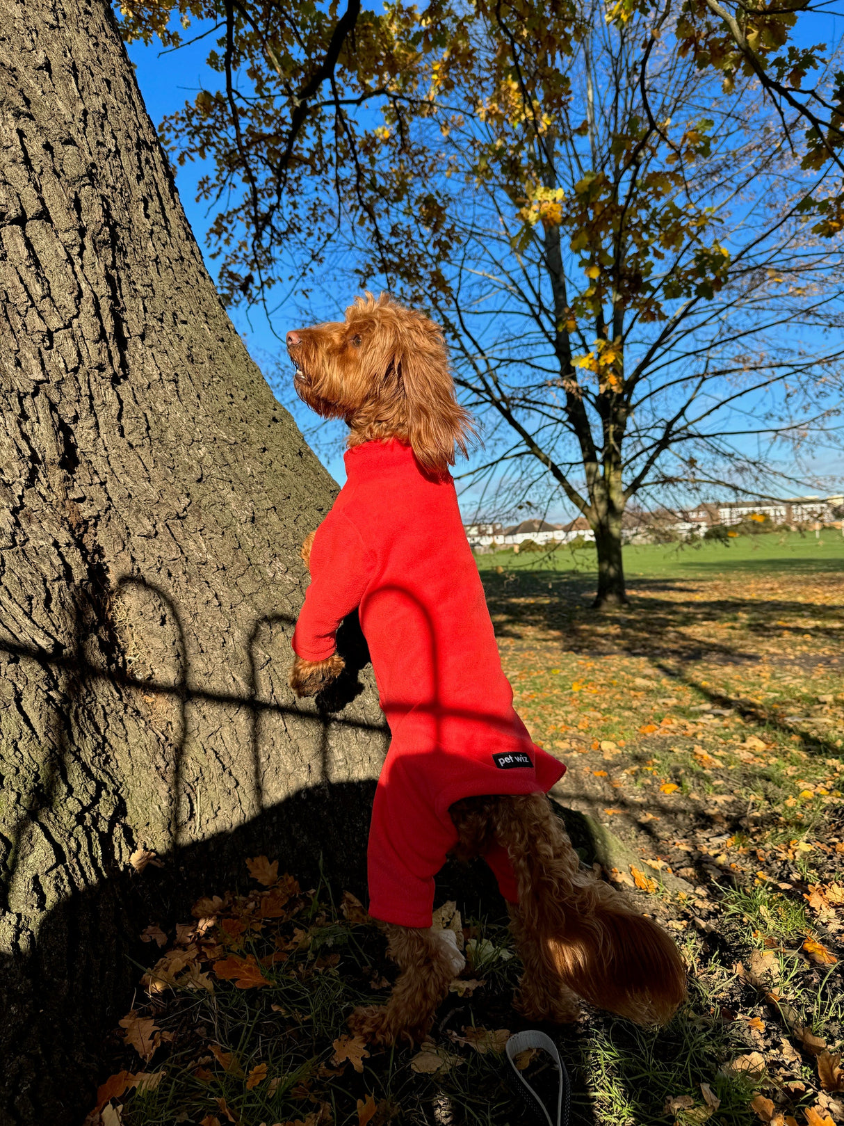 Four Legged Dog Fleece Jumpers Pet Wiz   