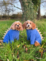 Four Legged Dog Fleece Jumpers Pet Wiz