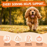 Pure Pumpkin Powder for Dogs – 250g