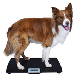 V-100 Veterinary Scale Medical Scales Marsden