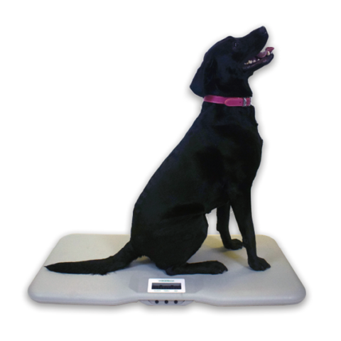 V-110 Veterinary Scale Medical Scales Marsden
