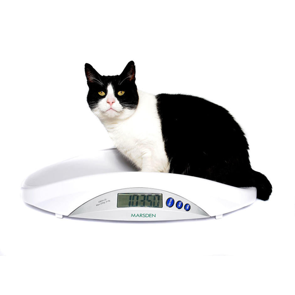 V-22 Veterinary Scale Medical Scales Marsden