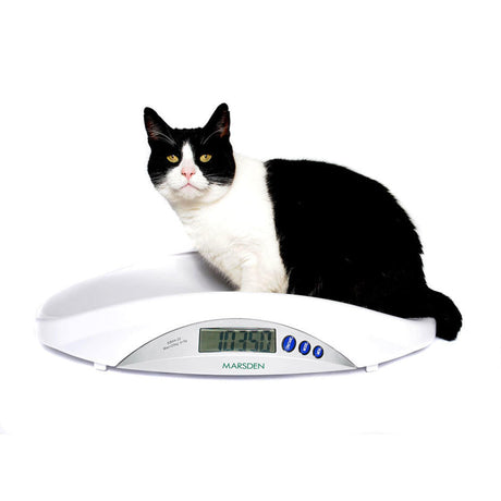 V-22 Veterinary Scale Medical Scales Marsden