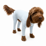 Pet Wiz Lightweight Summer Dog Suit