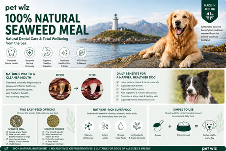 100% Organic Seaweed - Meal & Powder Supplements Pet Wiz