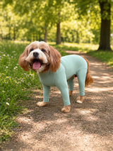 Pet Wiz Lightweight Summer Dog Suit
