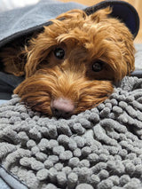 Quick Drying Microfibre Noodle Towel Towels Pet Wiz   