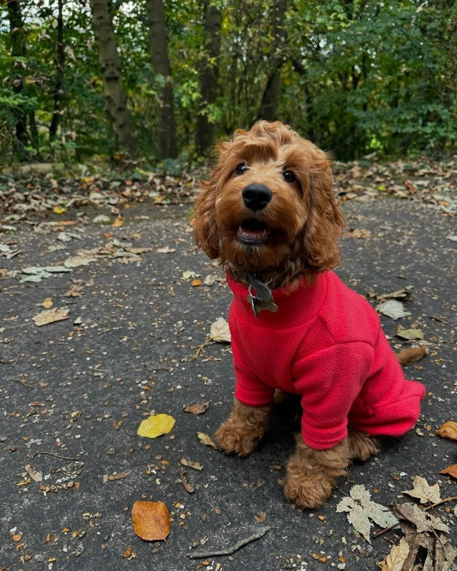 Four Legged Dog Fleece Jumpers Pet Wiz