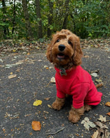 Four Legged Dog Fleece Jumpers Pet Wiz