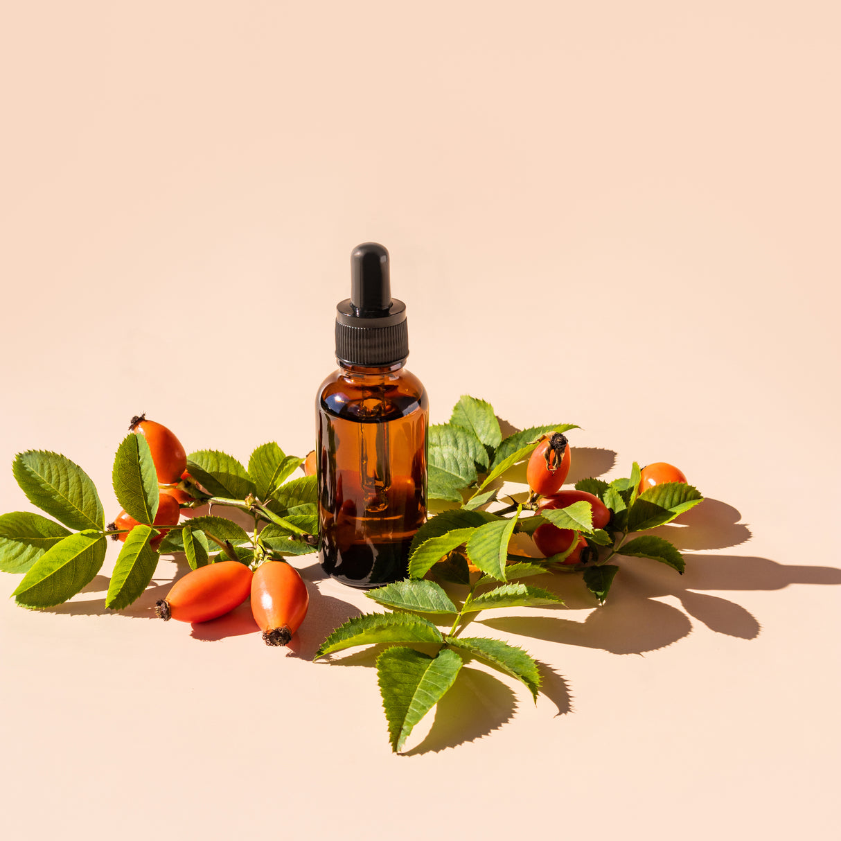 Aloe Vera & Rosehip Moisturising Cream (200ml)