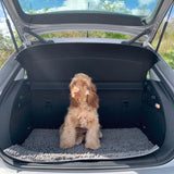 Plush Microfibre Noodle Mat Towels Pet Wiz   