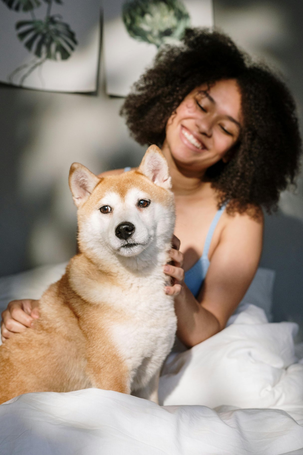 100% Organic Seaweed Meal Supplements Pet Wiz