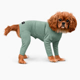 Pet Wiz Lightweight Summer Dog Suit