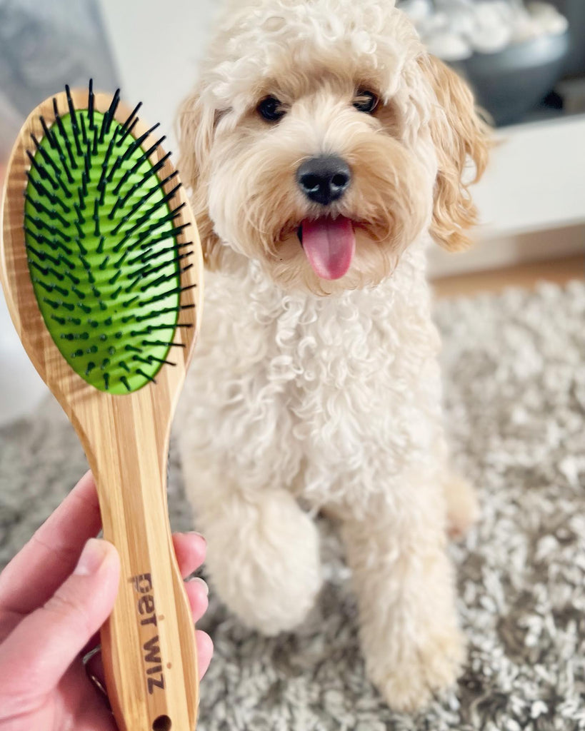 Double Sided Pin & Bristle Bamboo Brush for Dog Grooming Brush Pet Wiz   