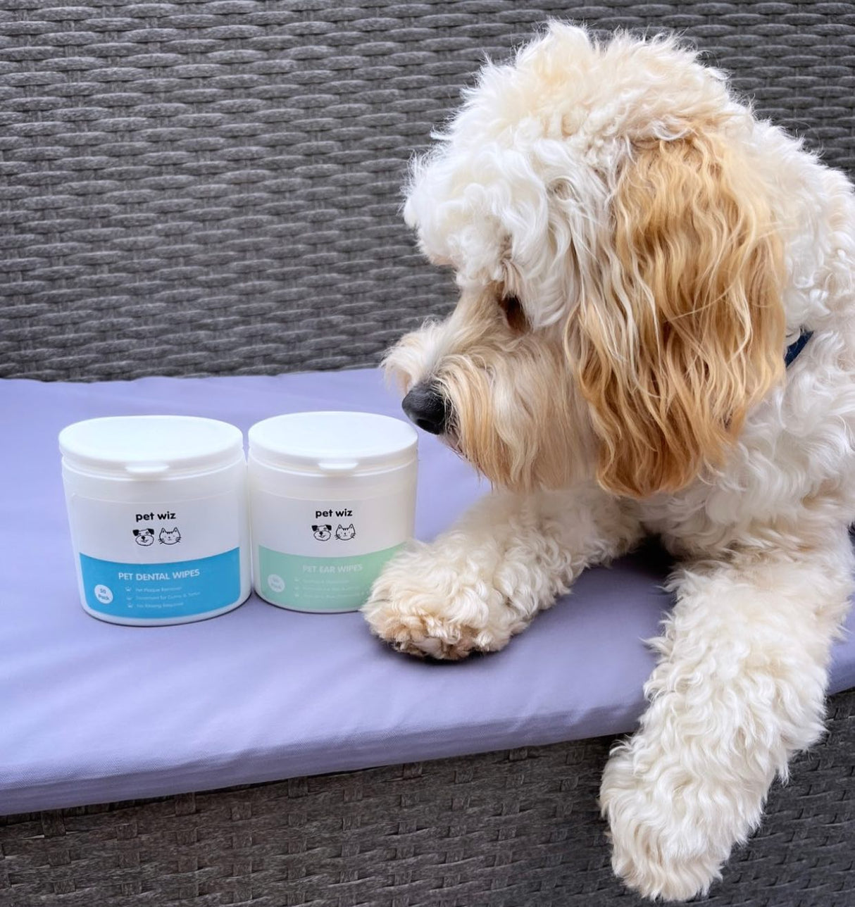 Ear Wipes for Dogs & Cats.  Pet Wiz   