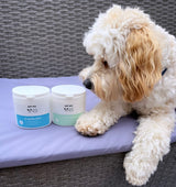 Ear Wipes for Dogs & Cats.  Pet Wiz   