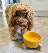 Ceramic Bowl with Bamboo Stand for Dogs & Cats Feeding Pet Wiz   