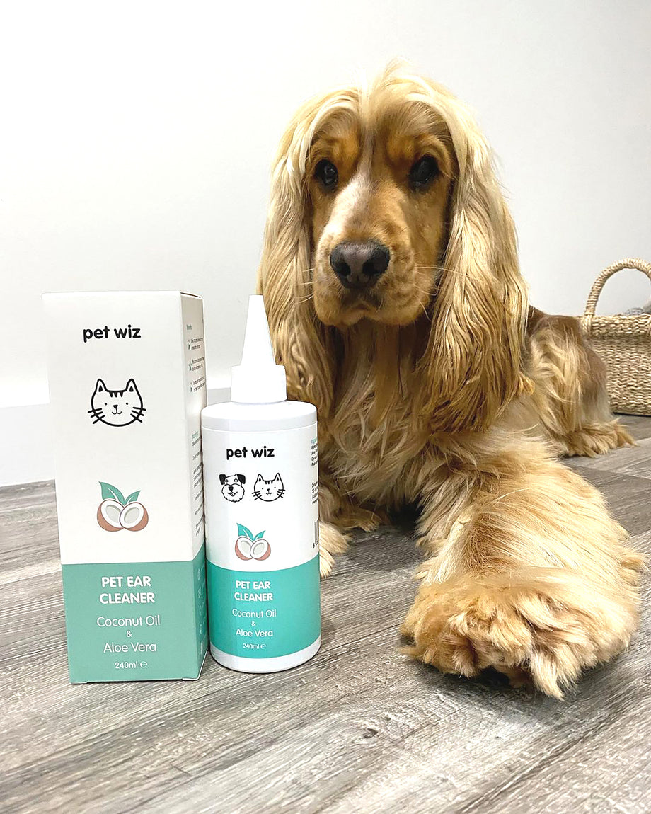 Coconut oil 2025 and dogs ears