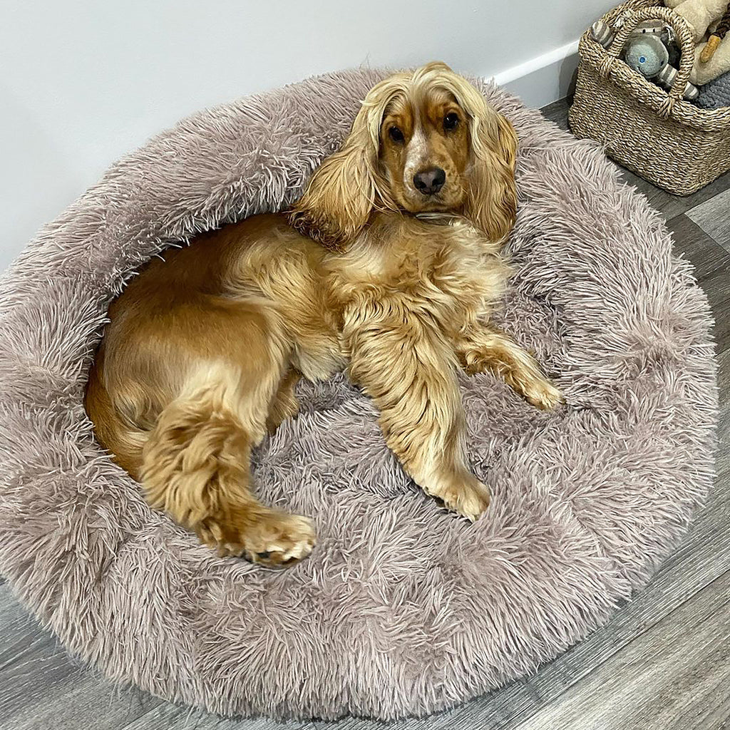 Soft Calming Donut Bed - Premium Quality For Dogs & Cats Pet Bed Pet Wiz   