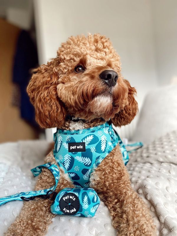 Walkies In The Wild - Poop Bag  Pet Wiz   