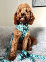 Walkies In The Wild - Poop Bag  Pet Wiz   