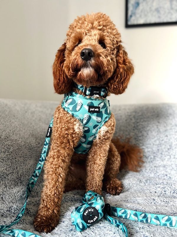 Walkies In The Wild - Poop Bag  Pet Wiz   