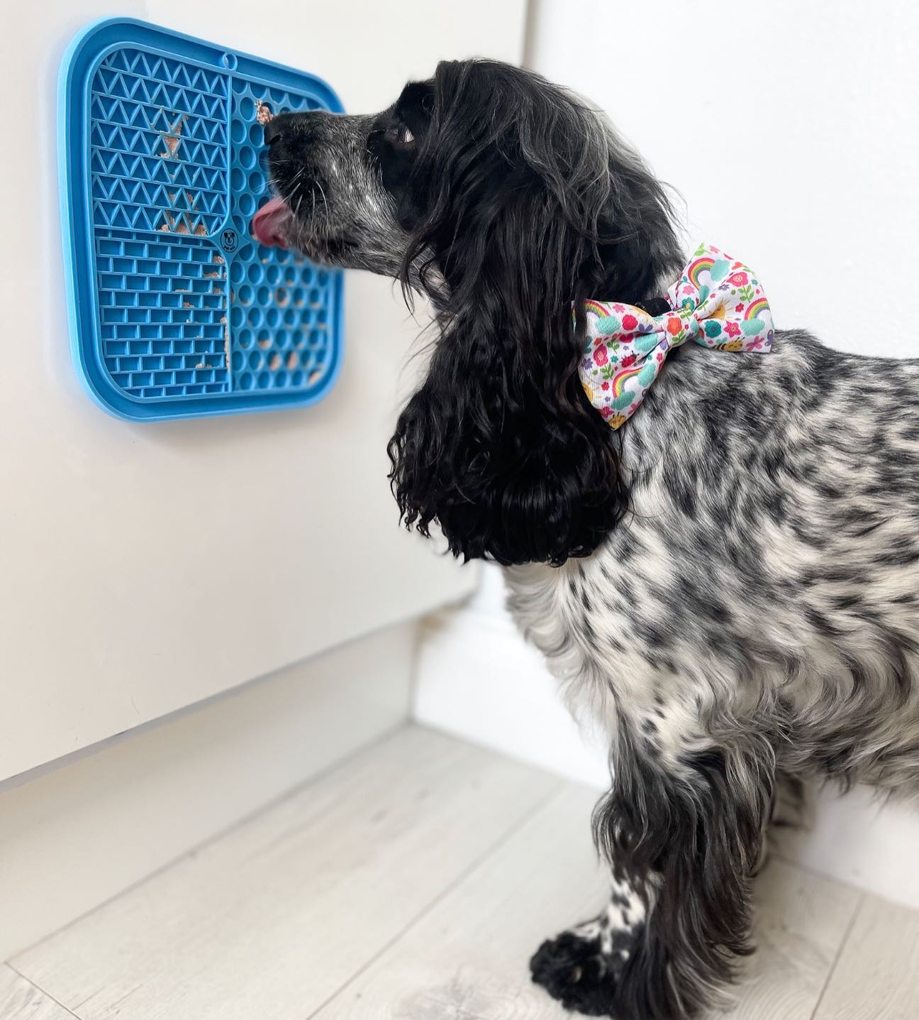 Silicone Licking Mat - Providing Mental Stimulation and  Anxiety Relief Feeding Pet Wiz   