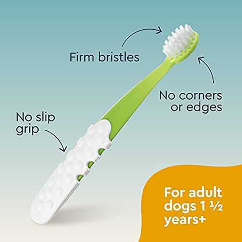 Canine Organic Dental Solutions Kit - Adult Dog Toothbrush RADIUS   