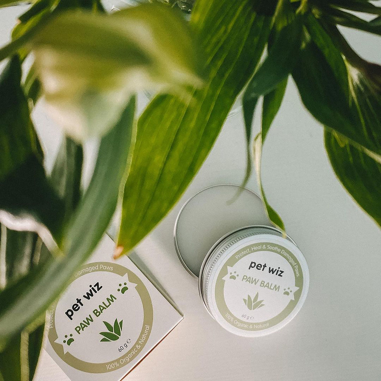 Organic Paw and Nose Balm for Dogs and Cats - Coconut Oil, Shea Butter, Vitamin E & Aloe Balm Pet Wiz   