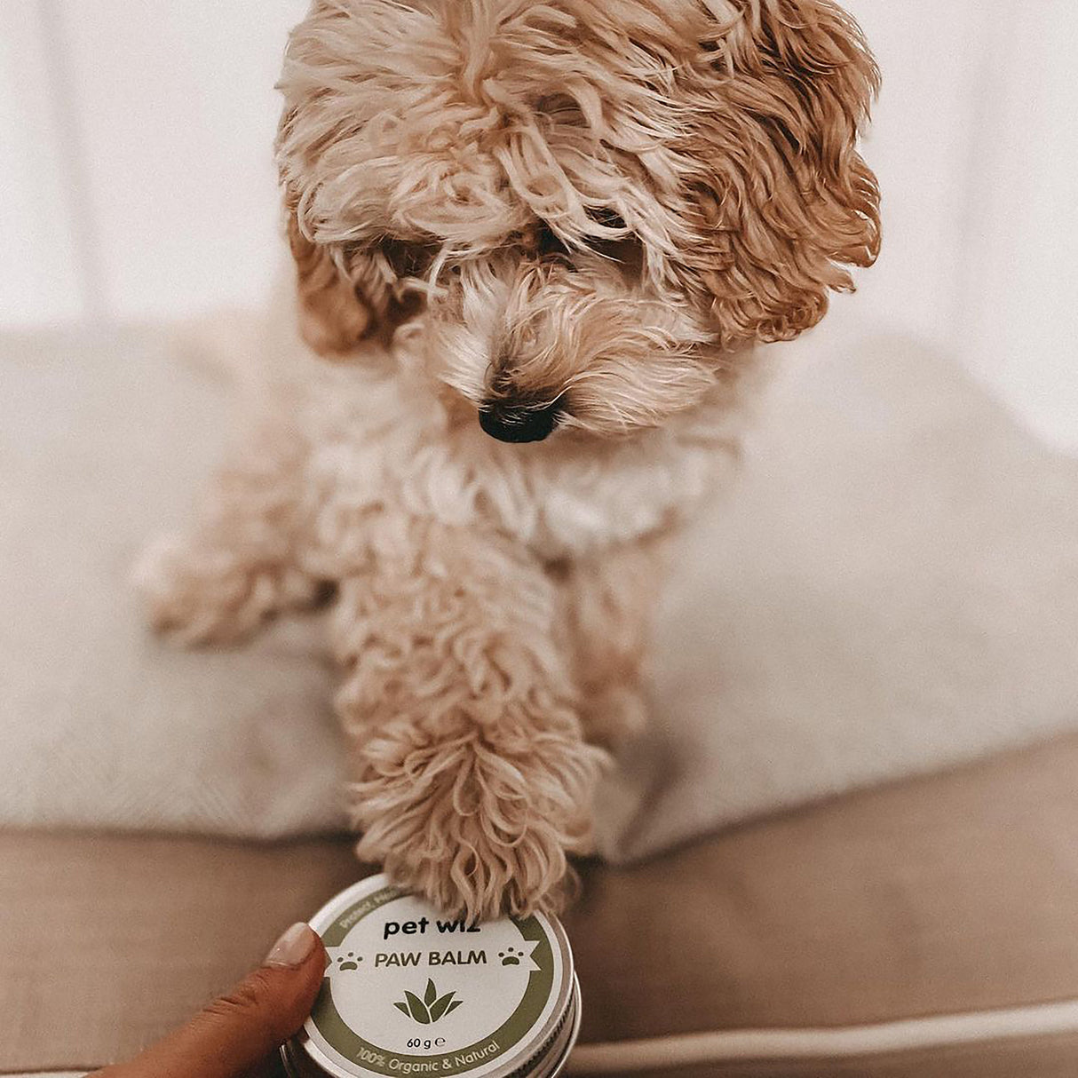 Organic Paw and Nose Balm for Dogs and Cats - Coconut Oil, Shea Butter, Vitamin E & Aloe Balm Pet Wiz   