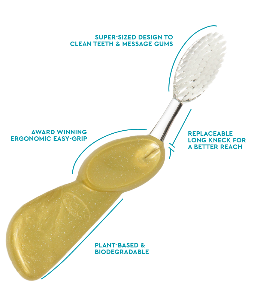 The Big Brush™ with Replaceable Head - Left Hand Toothbrush RADIUS Gold Satin  