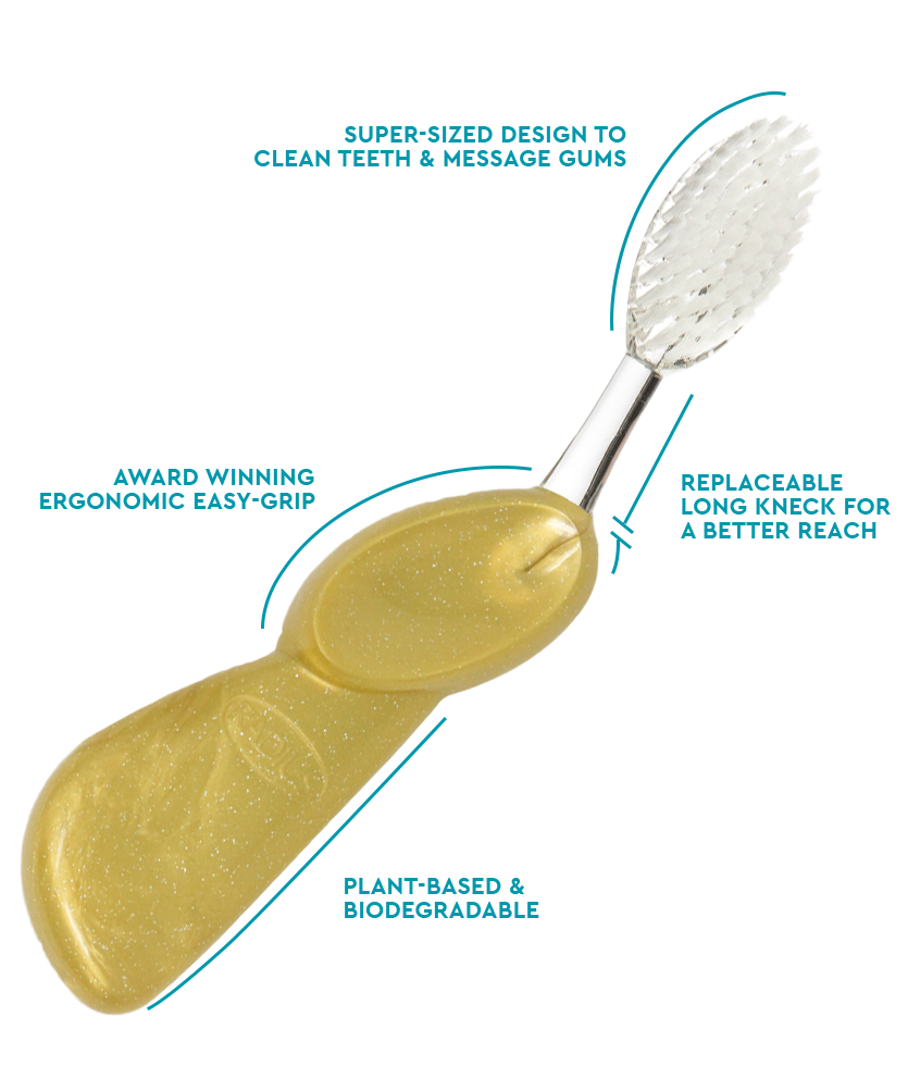 The Big Brush™ with Replaceable Head - Left Hand Toothbrush Radius Gold Satin  