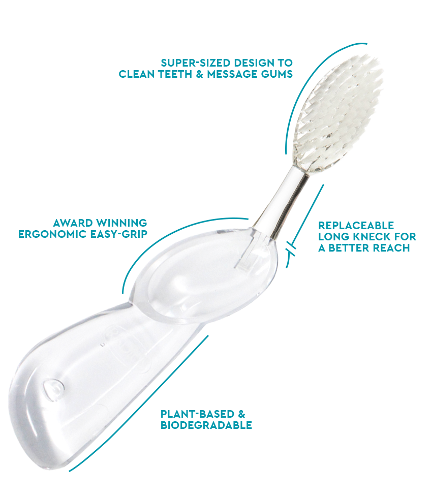 The Big Brush™ with Replaceable Head - Left Hand Toothbrush RADIUS Transparent  