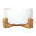 Ceramic Bowl with Bamboo Stand for Dogs & Cats Feeding Pet Wiz White  