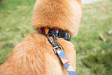 Geometric Collar, Lead, Harness Collars, Leads & Harnesses Pet Wiz   