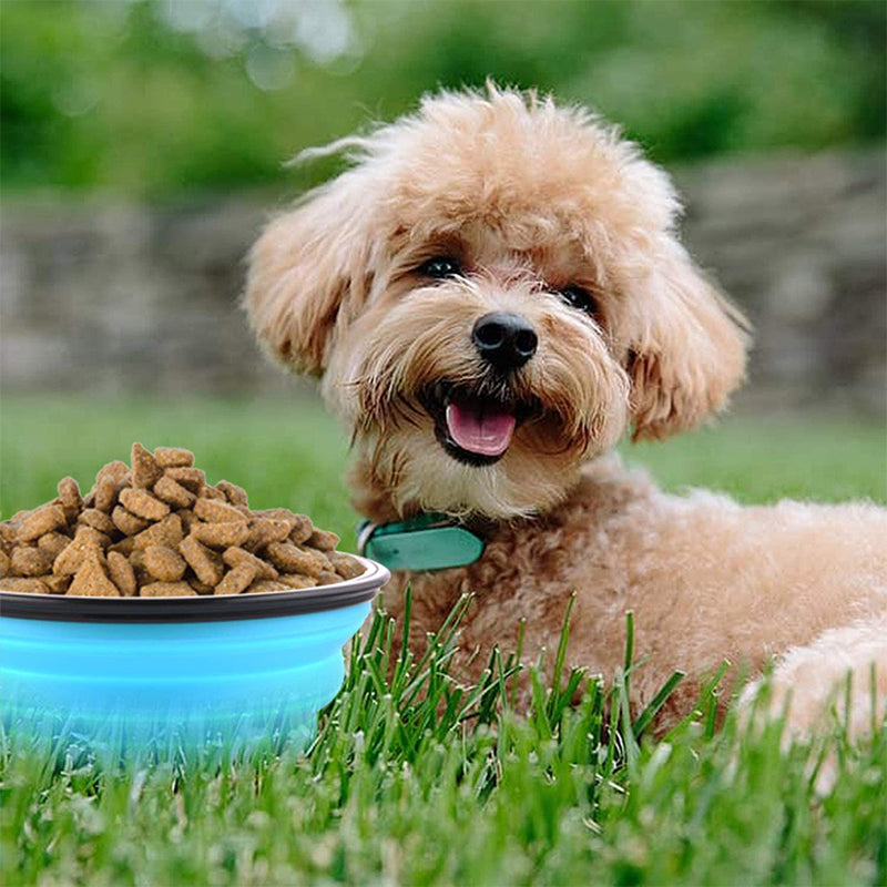 Collapsible Silicone Bowl for Dogs - 350ml Feeding Pet Wiz   