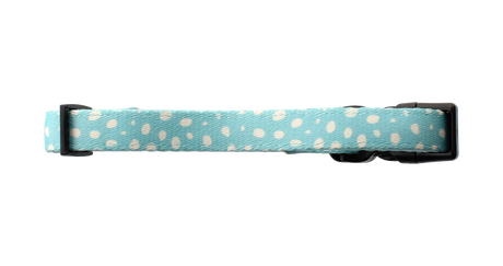 Dotty About You - Collar  Pet Wiz   