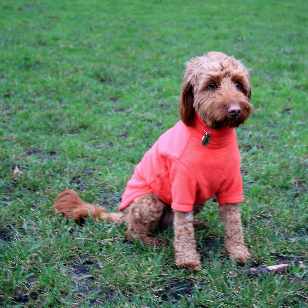 Warm Dog Fleece - Available in Five Sizes & Three Colours  Pet Wiz   