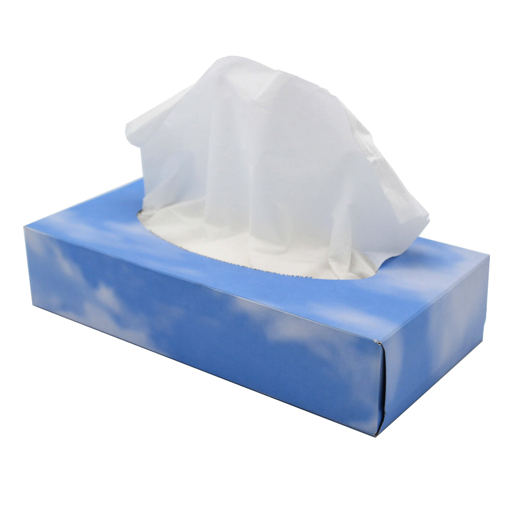 Soft White Facial Tissues, Box of 100 Tissues Ana Wiz   