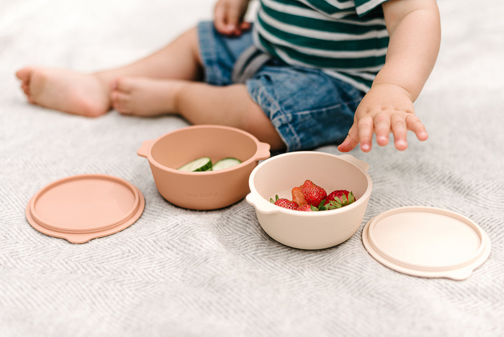 Silicone Bowls with Lids (Pack of 2)  ana baby   