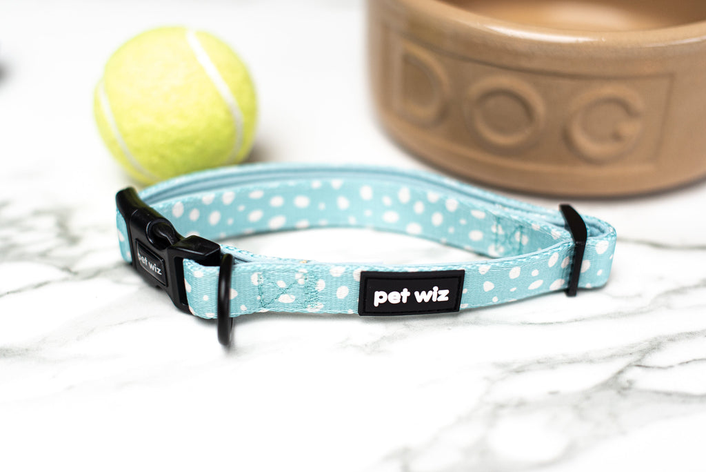 Dotty About You - Collar  Pet Wiz   
